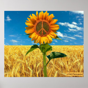 Ich stehe auf dem Poster der Ukraine