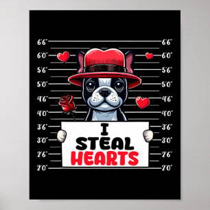 Ich stehle süße Herzen Valentinstag Boston Terrier Poster
