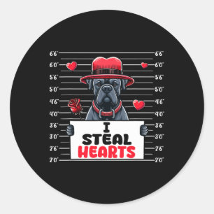 Ich stehle süße Herzen Valentinstag Cane Corso Bes Runder Aufkleber
