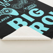 Ich stieg bis zur großen Bro Sherpadecke (3/4)