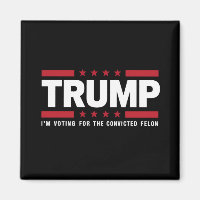 Ich stimme für den verurteilten Felon Pro Trump 20