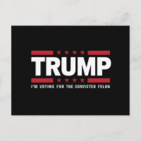 Ich stimme für den verurteilten Felon Pro Trump 20