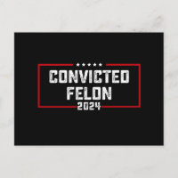 Ich stimme für den verurteilten Felon Pro Trump 20