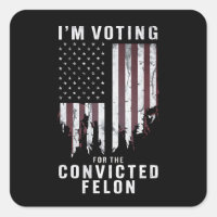 Ich stimme für den verurteilten Felon Pro Trump 20