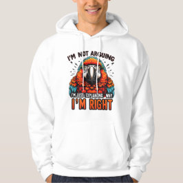 Ich streite nicht hoodie