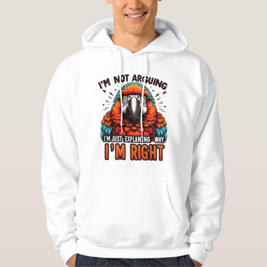 Ich streite nicht hoodie (Vorderseite)