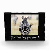 Ich suche Sie nach Zebra-Foto mit Text Fotoblock (Vorderseite)
