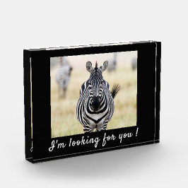 Ich suche Sie nach Zebra-Foto mit Text Fotoblock