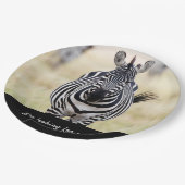 Ich suche Sie nach Zebra-Foto mit Text Pappteller (Schrägansicht)