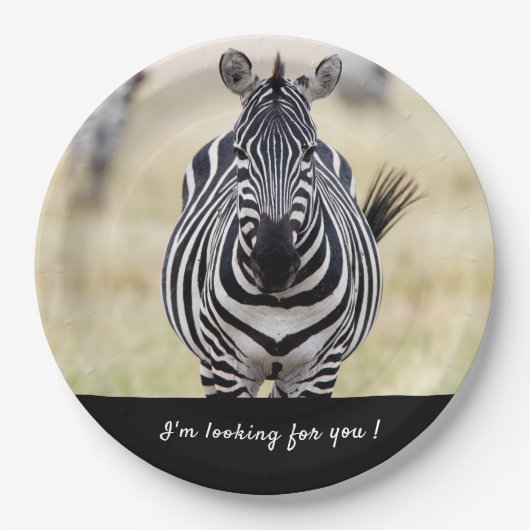 Ich suche Sie nach Zebra-Foto mit Text Pappteller (Vorderseite)