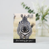 Ich suche Sie nach Zebra-Foto mit Text Postkarte (Stehend Vorderseite)