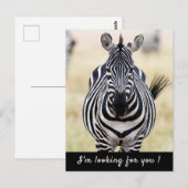 Ich suche Sie nach Zebra-Foto mit Text Postkarte (Vorne/Hinten)
