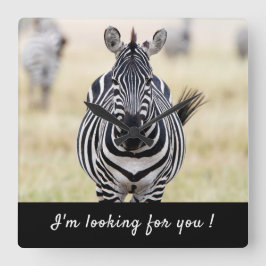 Ich suche Sie nach Zebra-Foto mit Text Quadratische Wanduhr