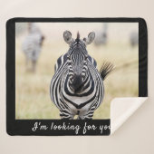 Ich suche Sie nach Zebra-Foto mit Text Sherpadecke (Vorderseite (Horizontal))