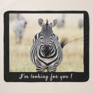 Ich suche Sie nach Zebra-Foto mit Text Sherpadecke