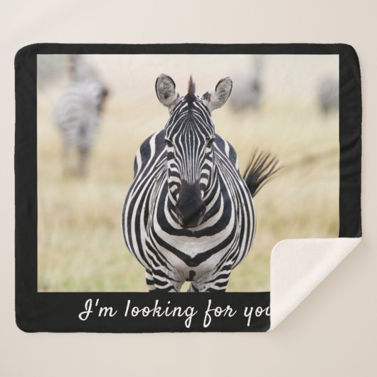 Ich suche Sie nach Zebra-Foto mit Text Sherpadecke (Vorderseite (Horizontal))