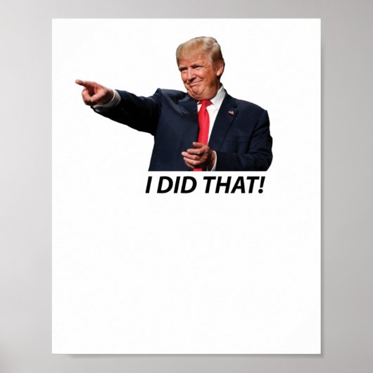 Ich tat das Trump Meme Poster (Vorne)