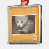Ich tat es nicht silbernes ornament (Links)