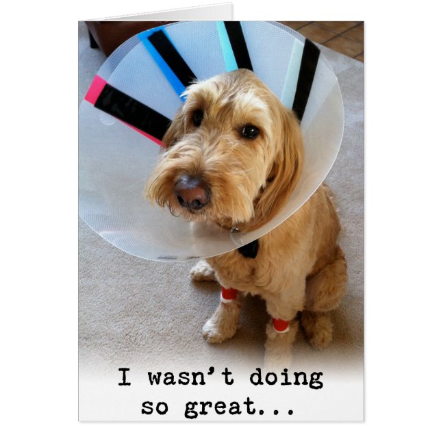 Ich tat nicht so großes… (Vorne)