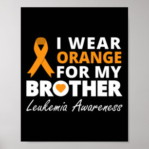 Ich trage Orange für meinen Bruder Ribbon Familien Poster