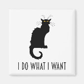 Ich tue, was ich Funny Cat Chat Noir Gewollt habe Magnet (Vorne)