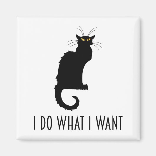Ich tue, was ich Funny Cat Chat Noir Gewollt habe Magnet (Vorne)