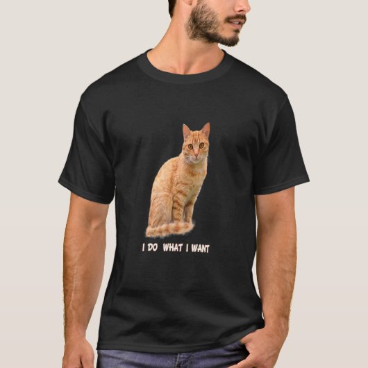 Ich tue, was ich Orange Tabby Cat 1 Gewollt habe T-Shirt (Vorderseite)