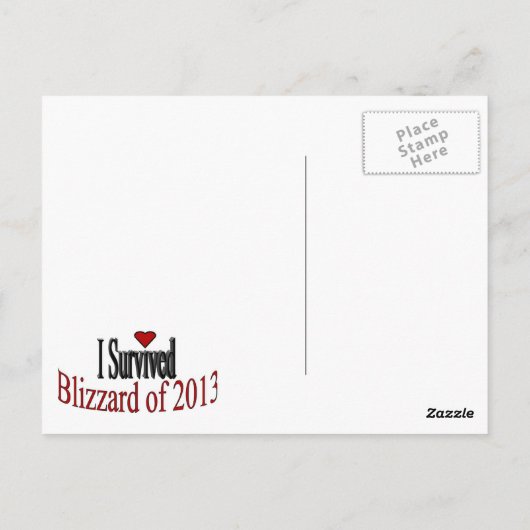 Ich überlebte Blizzard 2013 Postkarte (Rückseite)