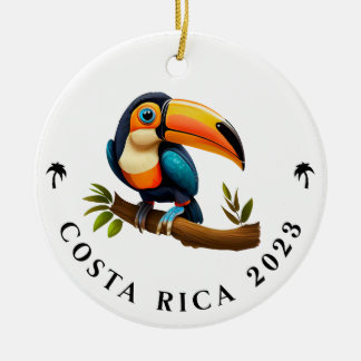 Ich überlebte Costa Rica 2023 - Toucan Bird Orname Keramik Ornament