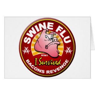 Ich überlebte die Schwein-Grippe - H1N1