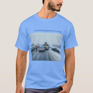 Ich überlebte die Winterstürme von 2026 T-Shirt