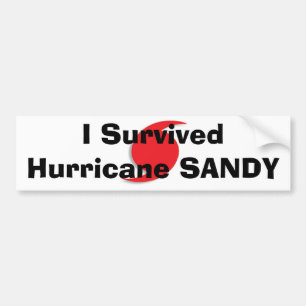 Ich überlebte Hurrikan SANDY-Autoaufkleber Autoaufkleber