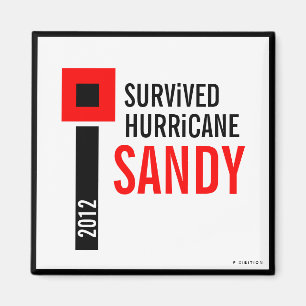Ich überlebte Hurrikan-Sandy-Magneten 3 Magnet