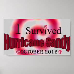 Ich überlebte Hurrikan-Sandy-Plakat Poster