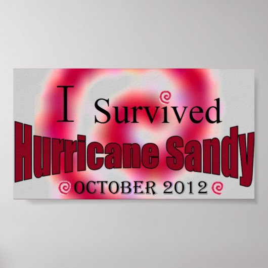 Ich überlebte Hurrikan Sandy Poster (Vorne)