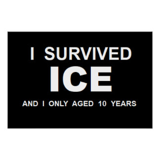 Ich überlebte ICE Poster