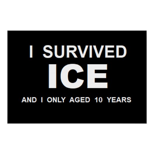 Ich überlebte ICE Poster (Vorderseite)