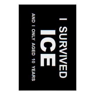 Ich überlebte ICE Poster