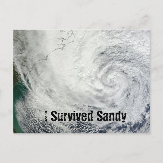 Ich überlebte Sandy Postcard Postkarte (Vorderseite)