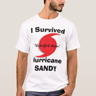 Ich überlebte SANDY T-Shirt