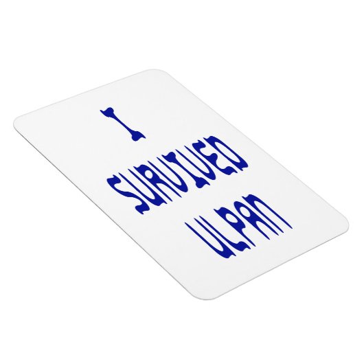 Ich überlebte Ulpan Magnet (Rechte Seite)