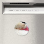 Ich überlege_ magnet (In Situ (Geschirrspüler))