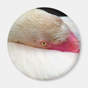 Ich überlege_ magnet