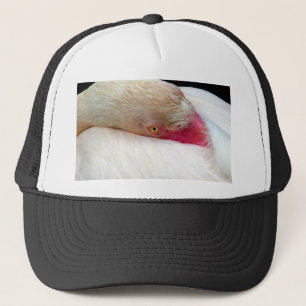 Ich überlege_ truckerkappe