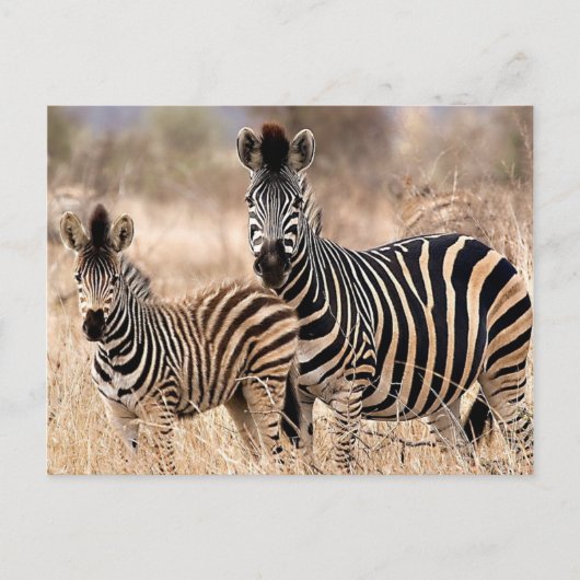 Ich und Mama Postkarte (Vorderseite)