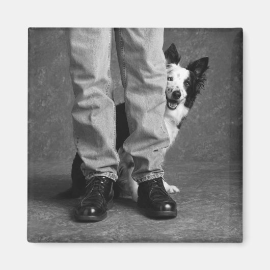 Ich und mein Schatten - Collie Dog Magnet (Vorne)