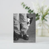 Ich und mein Schatten - Collie Dog Postkarte (Stehend Vorderseite)