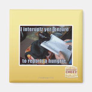 Ich unterbreche YER Leezure Magnet