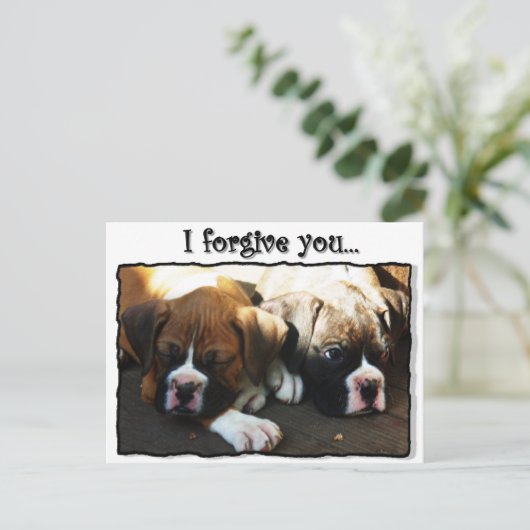 Ich vergib dir Boxerwelpen Postkarte (Stehend Vorderseite)