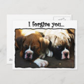 Ich vergib dir Boxerwelpen Postkarte (Vorne/Hinten)